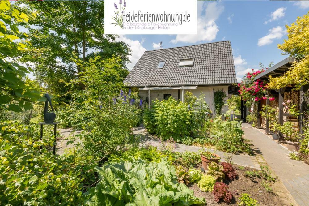 Heideferienwohnung Walsrode Exterior photo